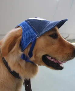 Dog Sunscreen Hat Baseball Cap Outdoor Sports