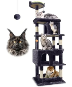 Heavy Duty Cat Trees for Large Cats