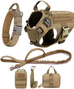 Large Dog Harness And Leash Set