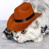 Pet Cat Cowboy Hats Puppy Adjustable Cap Suitable