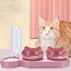 Pet Cat Food Bowl Automatic Feeder 2 in 1 Eating Drinking Water Container