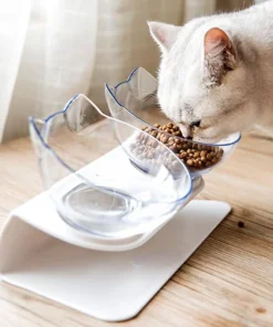 Non-Slip Double Cat Bowl With Stand Pet Feeding