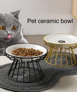 Pet Cats Water Food Feeding Dish Pet Supplies