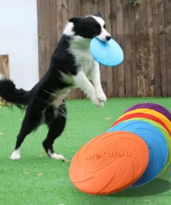 15/18/22cm Fashion Dog Toy