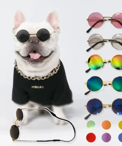 Lovely Vintage Round Cat Sunglasses Reflection Eye wear glasses