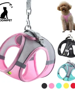 Dog Harness Leash Set