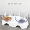 Non-Slip Neck Protection Cat Bowl With Stand