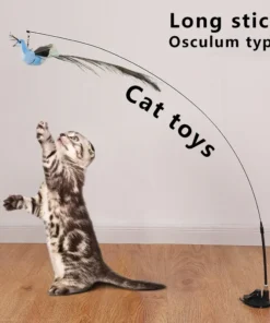 Interactive Funny Simulation Bird Feather with Bell Cat Stick Toy
